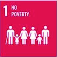 SDG 1 No poverty