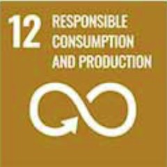 SDG 12 Responsible consumption and production